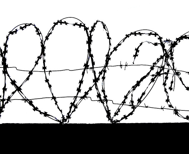 Free barbed wire hearts illustration