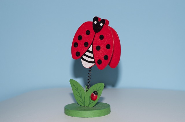 Free Ladybug Frame photo and picture