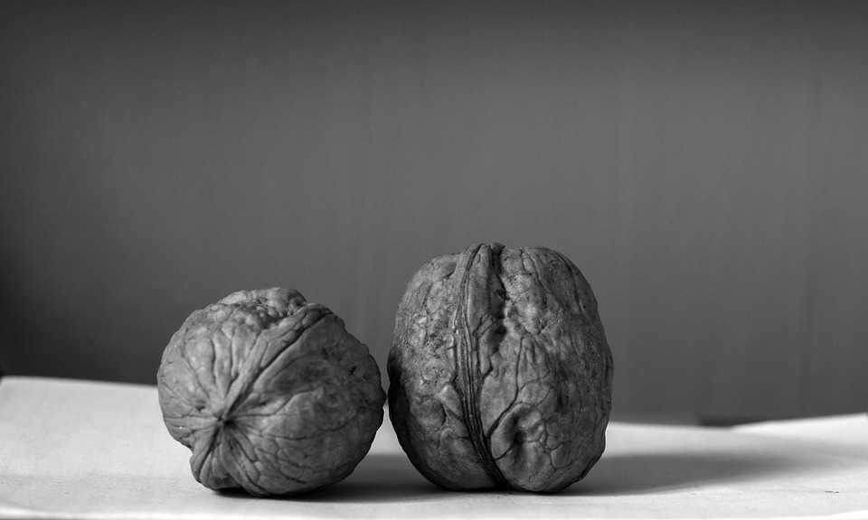 Nuts Dried Fruit Sano Free photo on Pixabay Pixabay