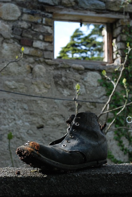 Free Old Shoe Shoe photo and picture
