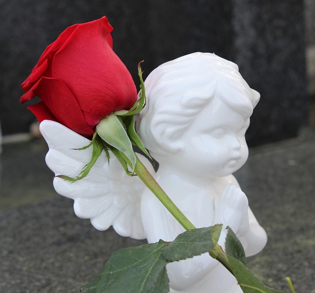 Free Stop Child Suicide Angel photo and picture