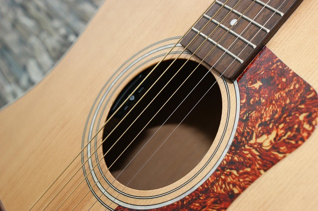 Free Guitar Guitars photo and picture