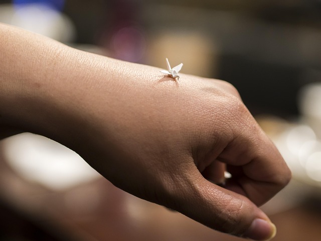 Free Hand Origami photo and picture