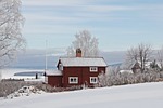 all white, cover, snow
