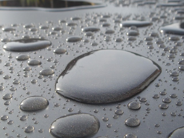 Free Rain Puddle photo and picture