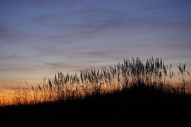 Free Sunset Summer photo and picture