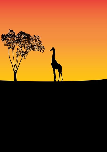 Free giraffe wildlife tree illustration