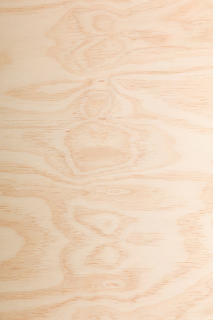 Free Wood Texture Wood illustration and picture