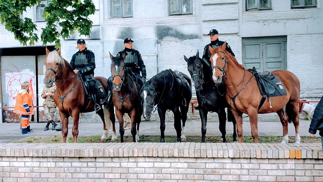 Free Military Uniform Horse photo and picture