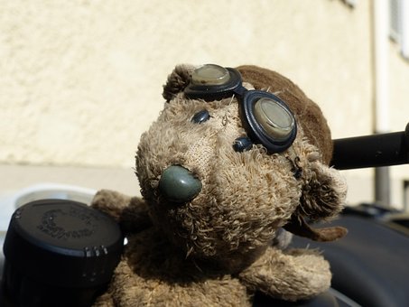 Free Bear Motorcycle photo and picture