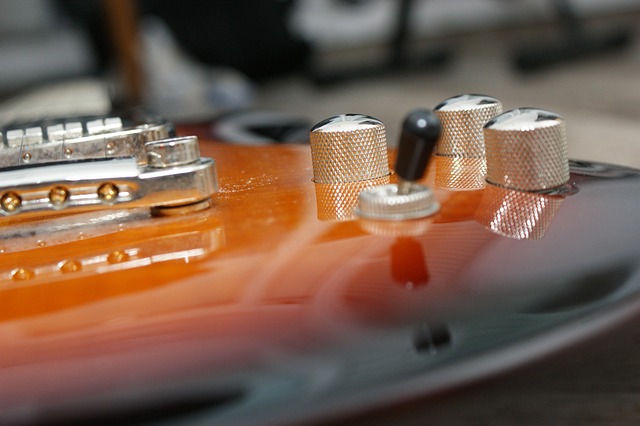 Free Guitar Guitars photo and picture