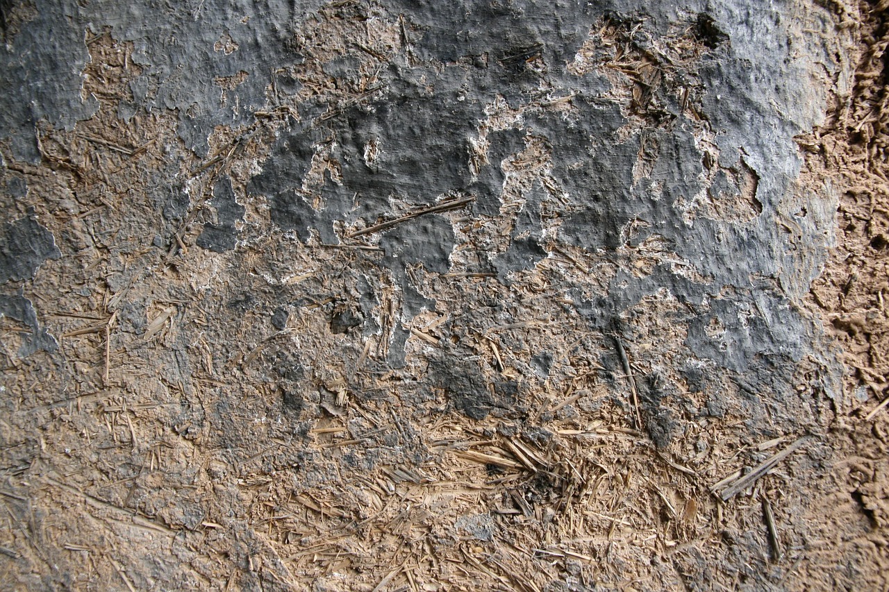 Old Wall - free online jigsaw puzzle photo