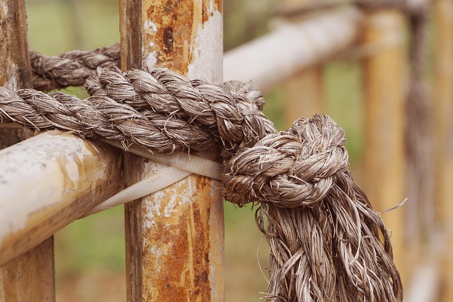 Free Rope Vintage photo and picture