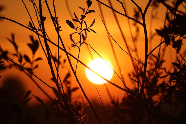 Free Sunrise 4K Wallpaper 1920X1080 photo and picture