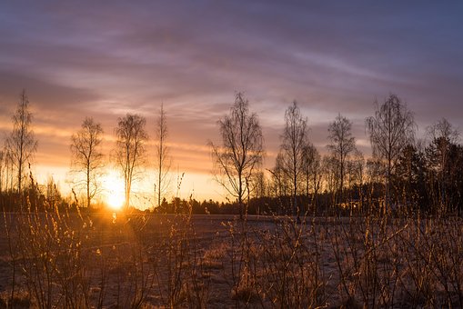 Gress, Natur, Sol, Stige, Vår, Solfylt
