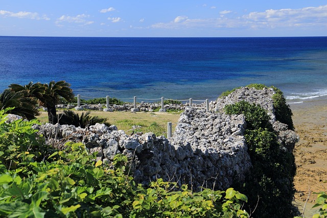 Free Okinawa Castle photo and picture