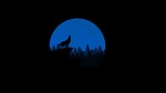 wolf, howling, night