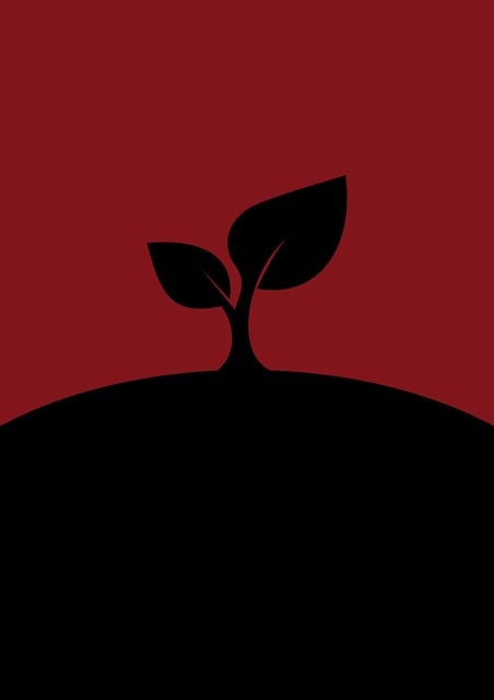 Free plant last plant red illustration