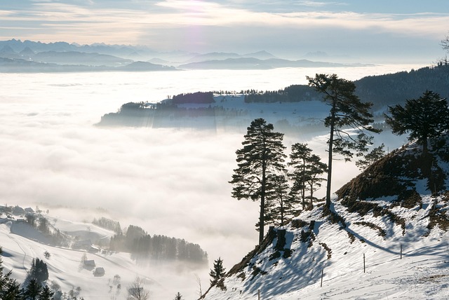 Winter, Landschaft, Berge, Schweiz