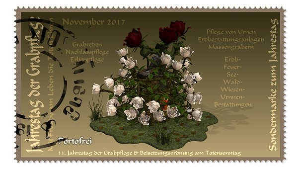 Cuidado Grave, Esplendor De Flores