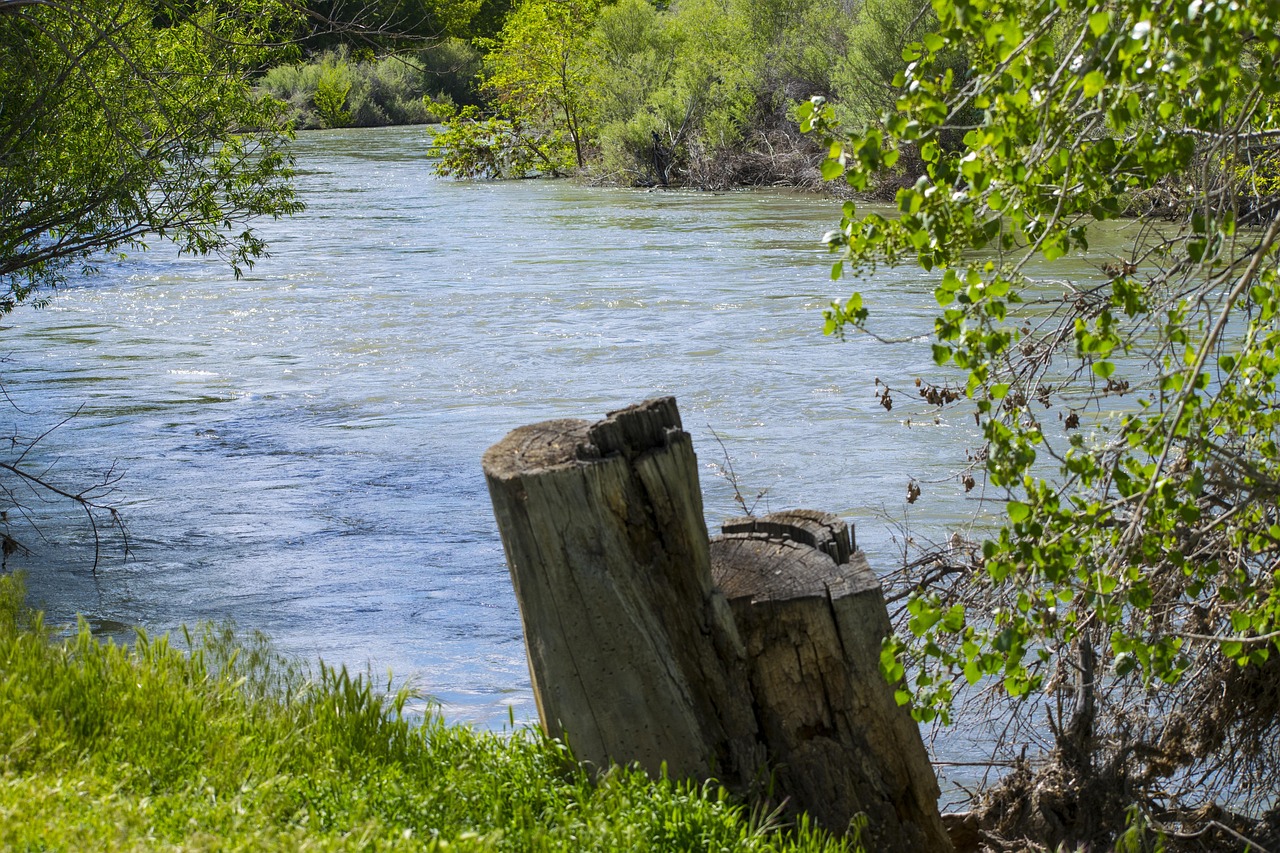 Truckee River Nevada Reno Free photo on Pixabay Pixabay