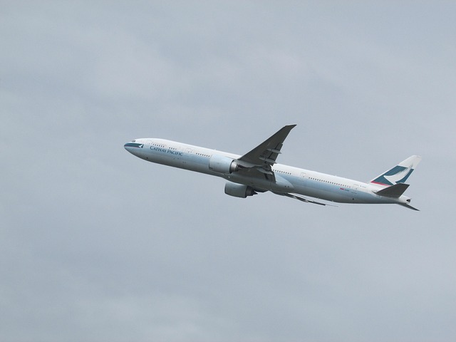 Free Plane Spotting Plane photo and picture