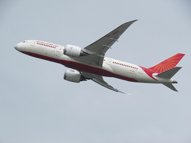 Free Plane Spotting Plane photo and picture