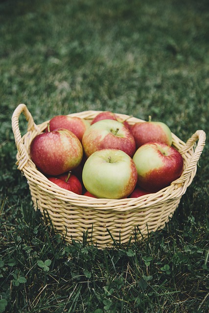 apple, apples, apple picking, basket, fruit, healthy, nature, green apple
