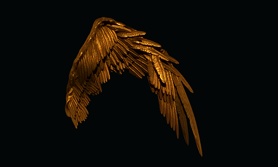 Flügel, Gold, 3D