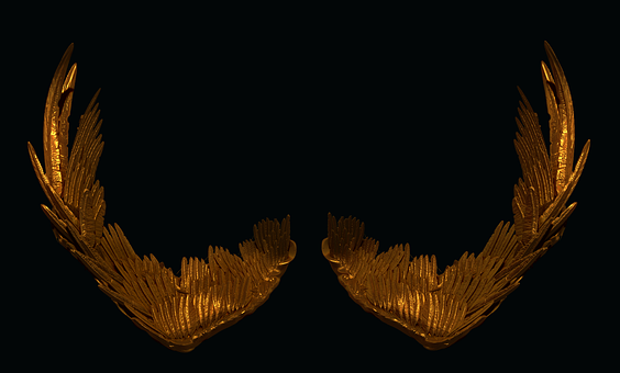 Flügel, Gold, 3D