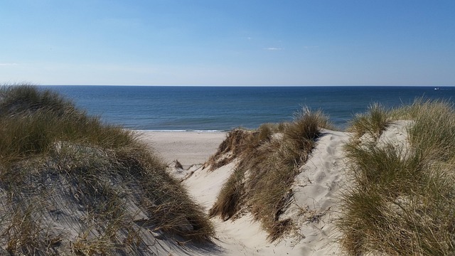Free Denmark Beach photo and picture