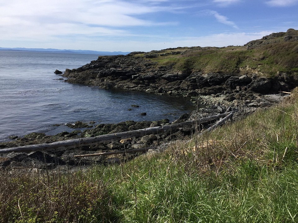 Shoreline Beach Ocean - Free photo on Pixabay - Pixabay