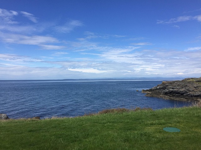 Shoreline Beach Ocean - Free photo on Pixabay - Pixabay