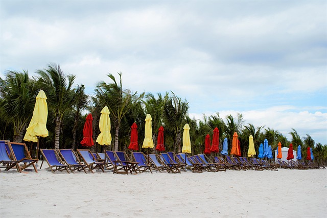 Free Beach Th photo and picture