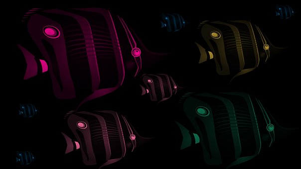 Free Fish Digital Art illustration and picture