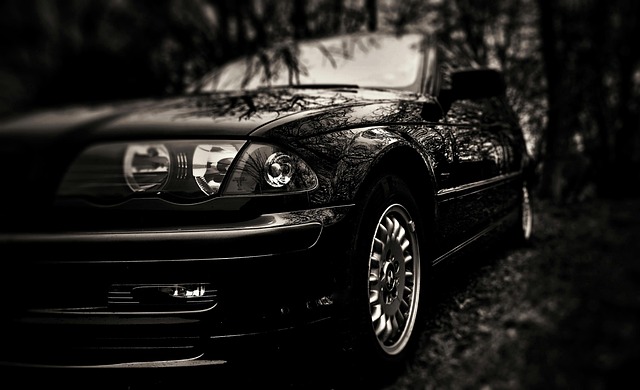 Bmw, E46, 콤비, 자동차, 검정색과 흰색, 검은 색, 어둠