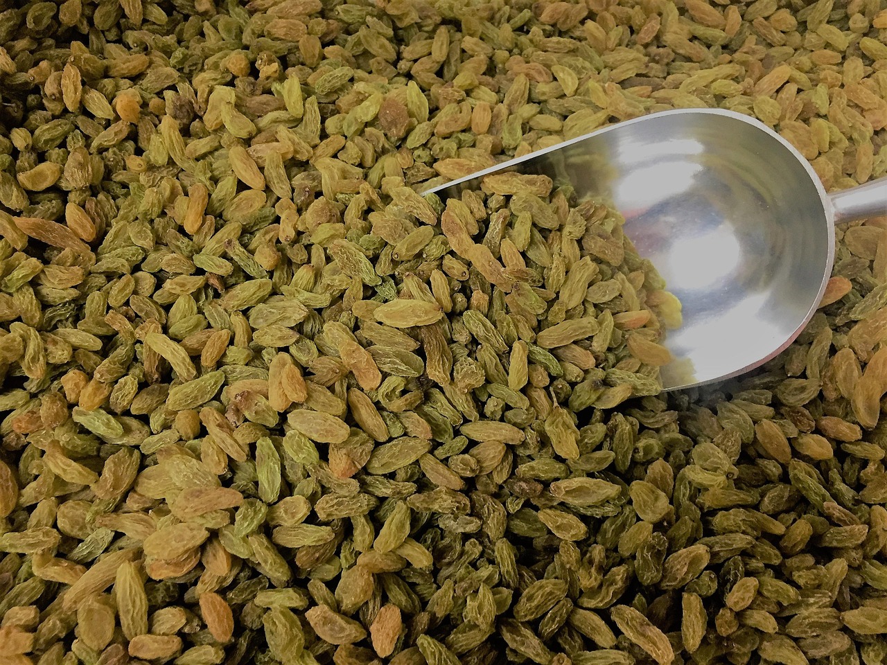 Green Raisins R Background Green Raisins Sweet - Free photo on Pixabay - Pixabay