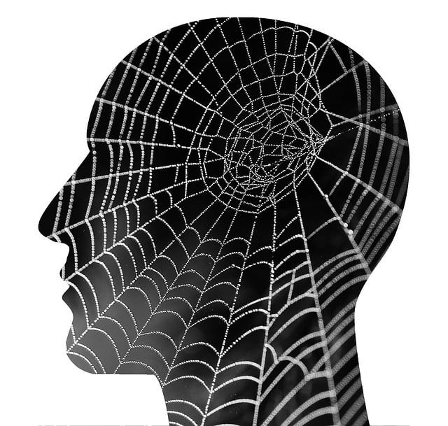 Free mental health spider web psychology illustration