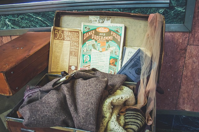 Free Suitcase Travel photo and picture