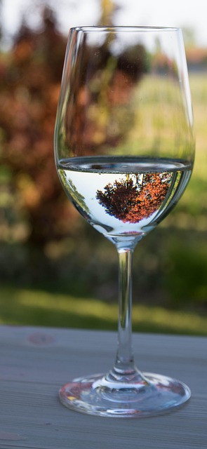 Free Wine Glass White Wine Glass photo and picture