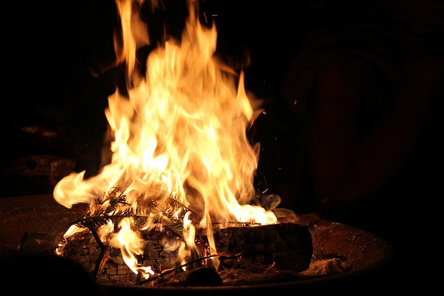 Free Fire Campfire photo and picture
