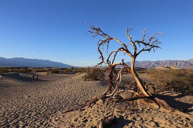 Free Death Valley National Park photo and picture