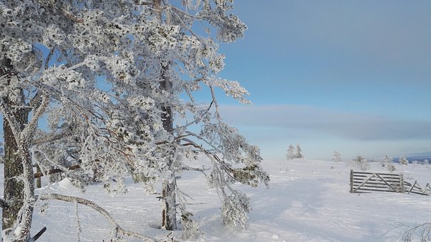 Free Winter Levi photo and picture