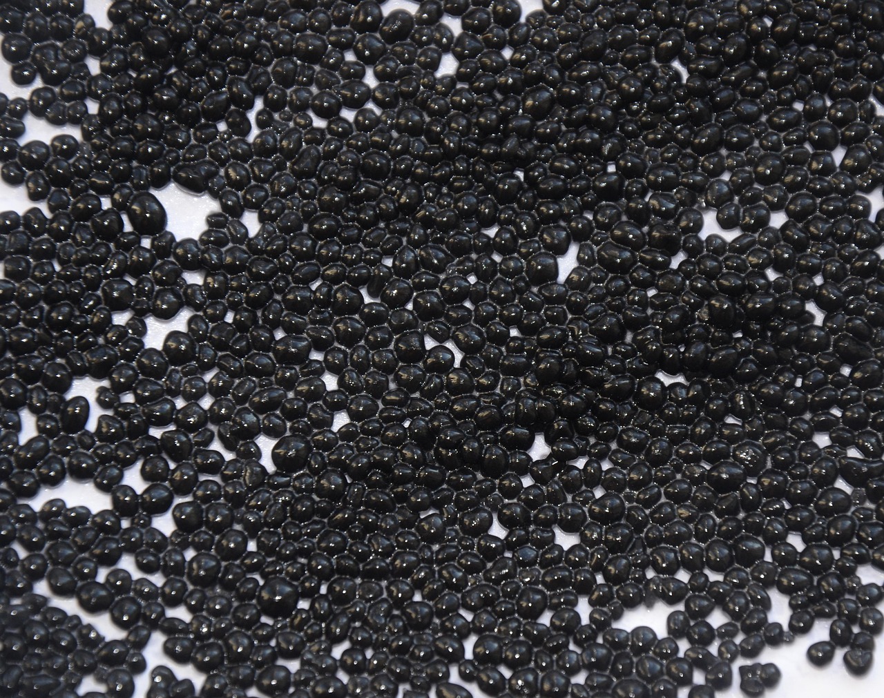 什么是黑鱼子酱 black-caviar-2315833_1280.jpg