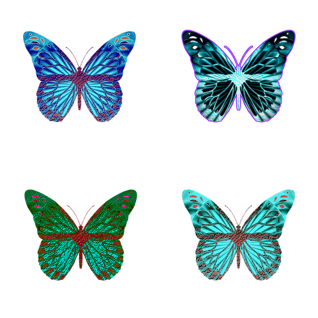 Free butterfly butterflies iridescent illustration