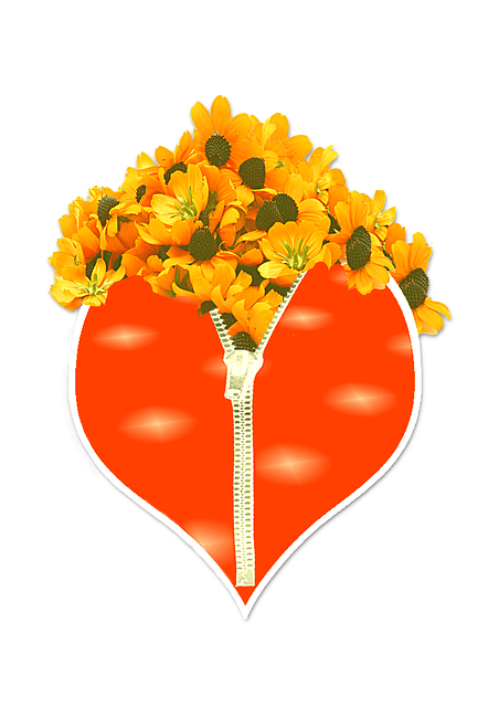 Free Heart Zipper illustration and picture