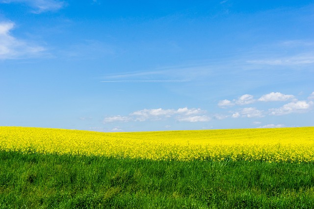 Free Landscape The Sky photo and picture
