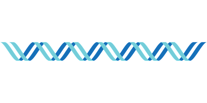 10 多张免费的“Dna Spiral”和“基因”矢量图 - Pixabay
