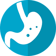 Free vector graphic: Digestion, Intestine, Digestive - Free Image on ...