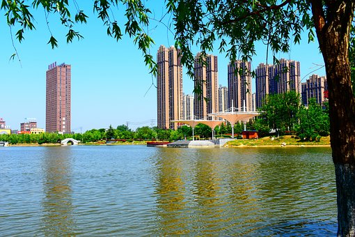 Free City Park photo and picture